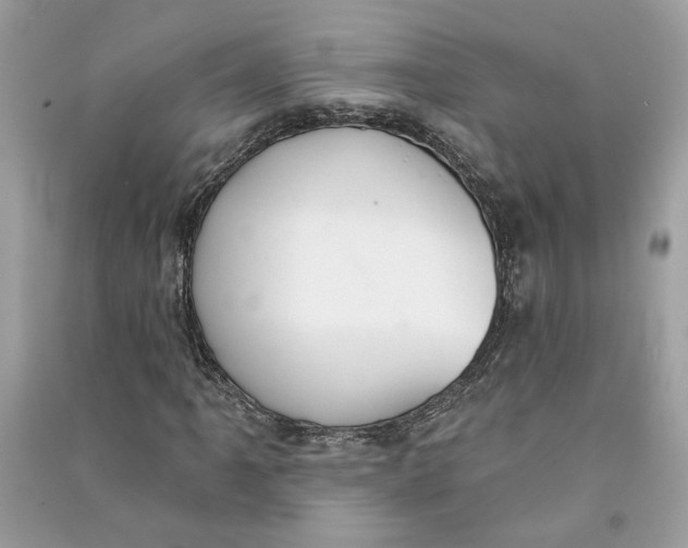 X0000090731061200708101634