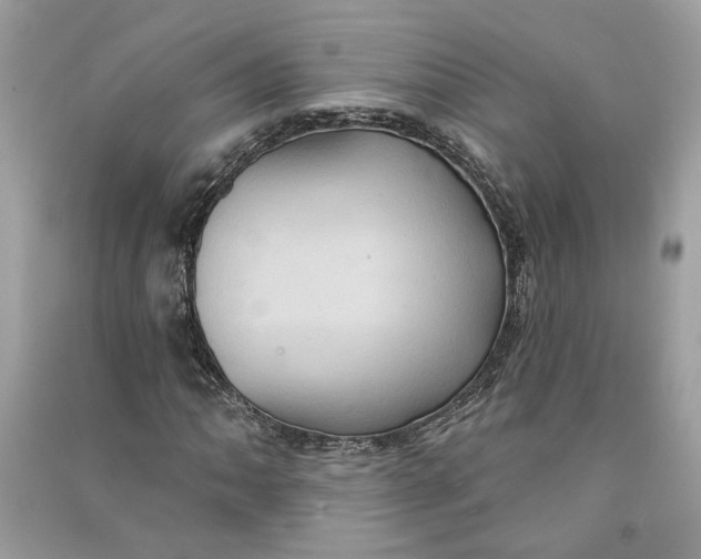 X0000090731062200708101634