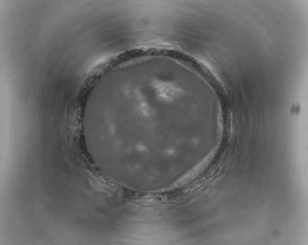 X0000090731063200708101634