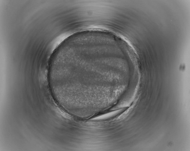 X0000090731066200708101634