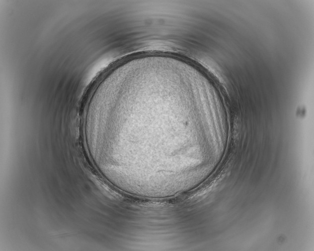 X0000090731067200708101634