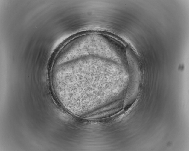 X0000090731070200708101634