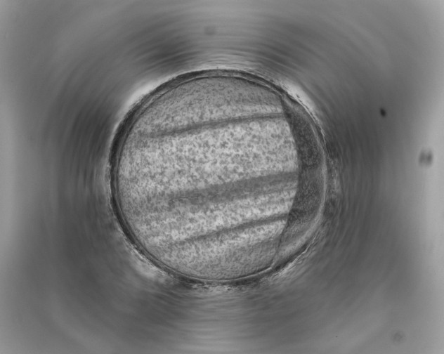 X0000090731072200708101634