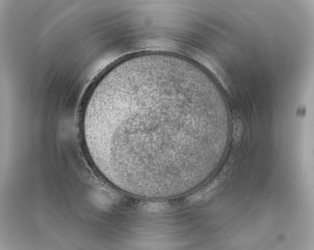 X0000090731074200708101634