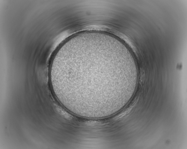 X0000090731075200708101634