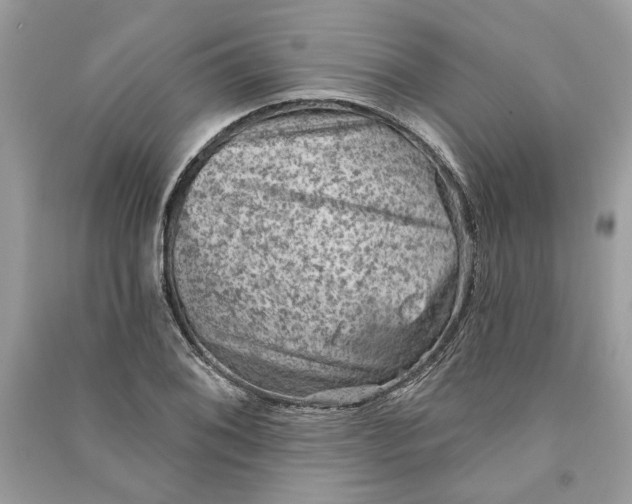 X0000090731076200708101634