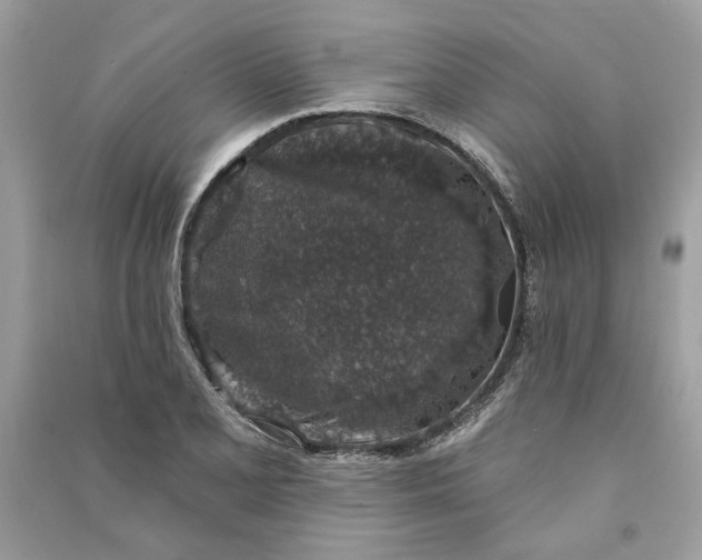 X0000090731077200708101634