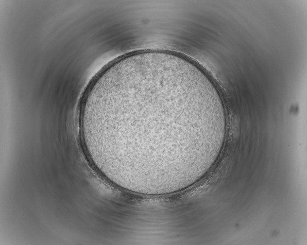 X0000090731078200708101634