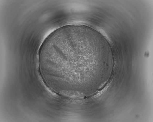 X0000090731079200708101634