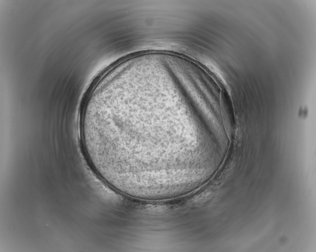 X0000090731080200708101634