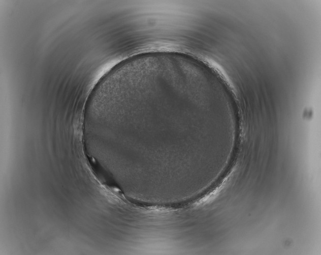 X0000090731081200708101634