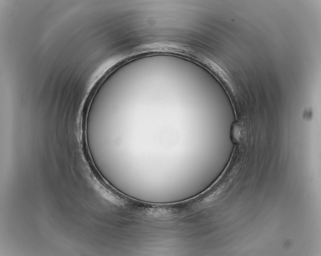 X0000090731082200708101634