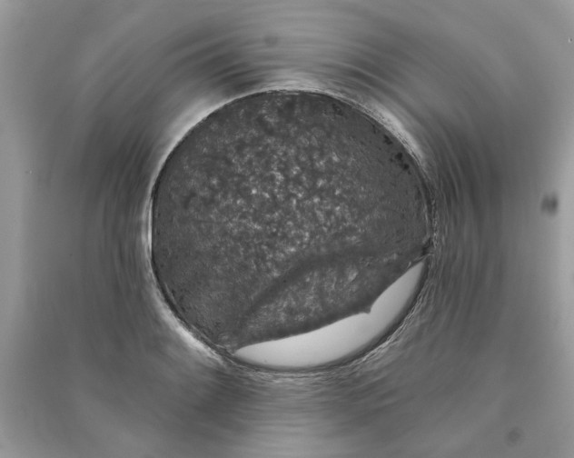 X0000090731084200708101634