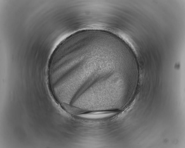 X0000090731085200708101634