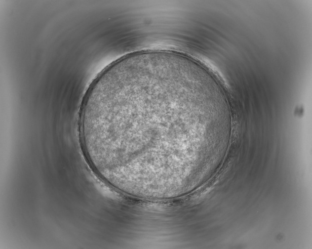 X0000090731086200708101634