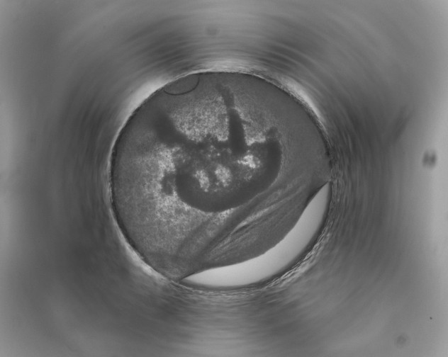 X0000090731087200708101634