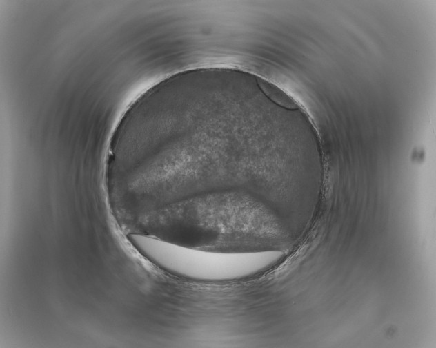 X0000090731088200708101634