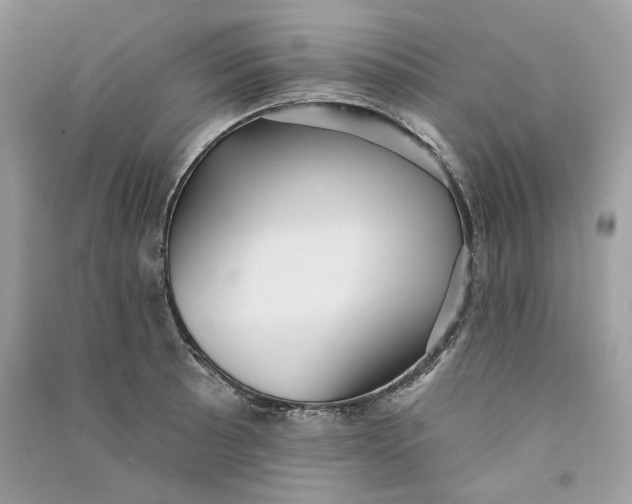 X0000090731089200708101634