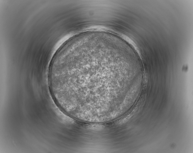 X0000090731090200708101634