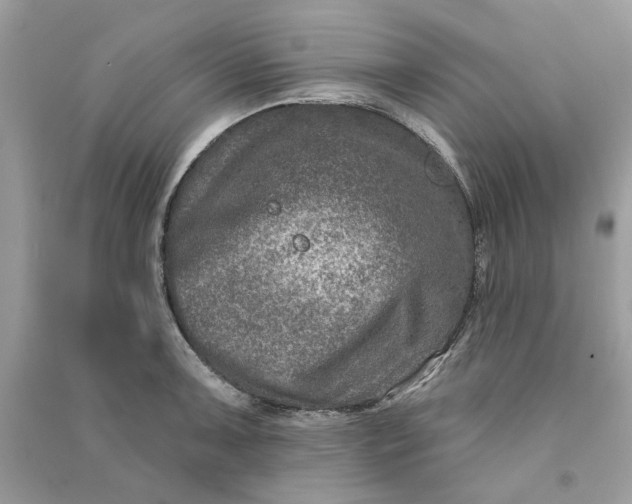 X0000090731091200708101634