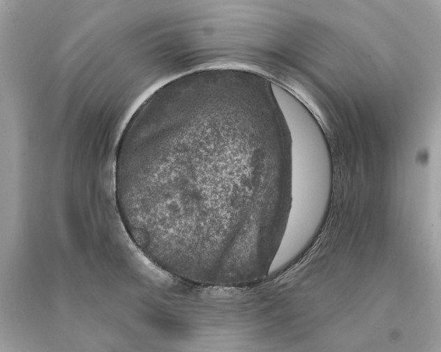 X0000090731092200708101634