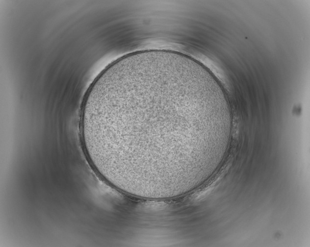 X0000090731094200708101634