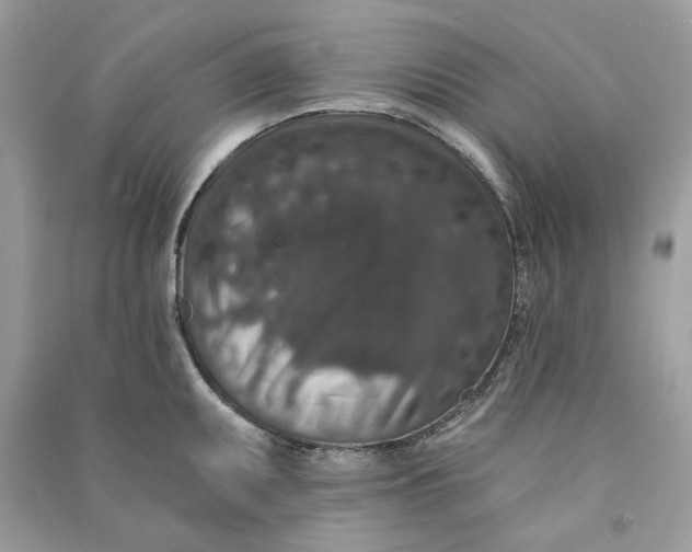 X0000090731095200708101634