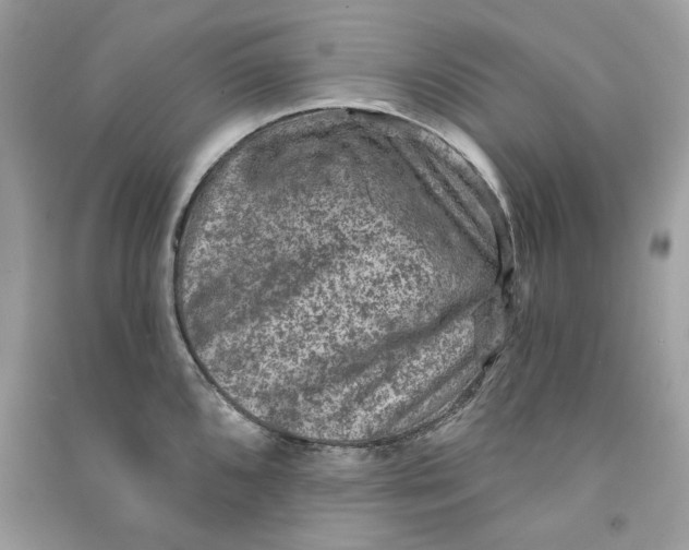 X0000090731096200708101634