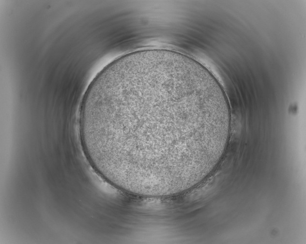 X0000090731098200708101634