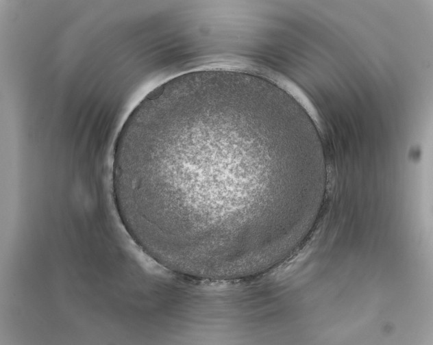 X0000090731099200708101634