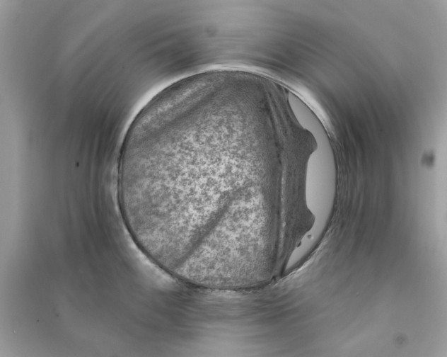 X0000090731100200708101634