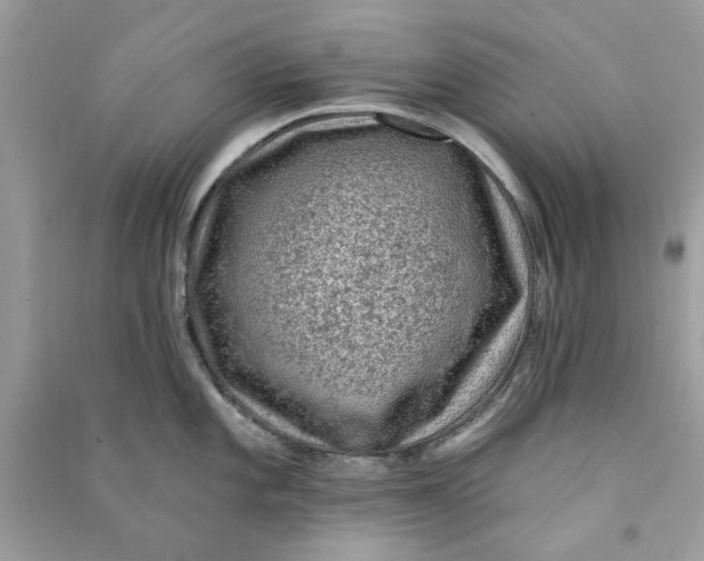 X0000090731101200708101634