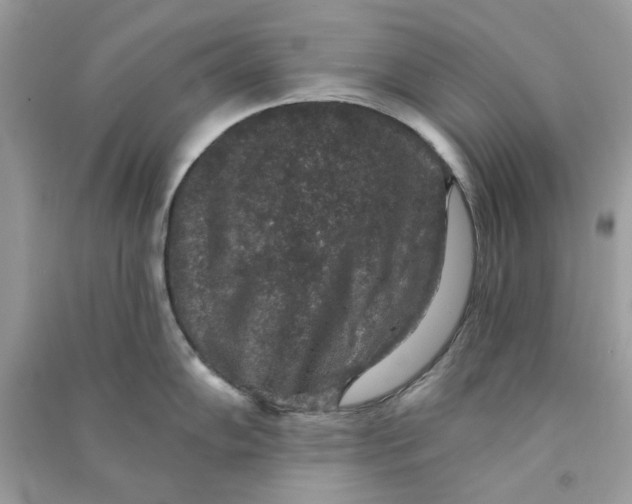 X0000090731102200708101634