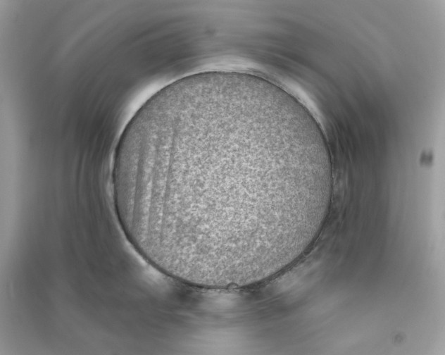 X0000090731103200708101634