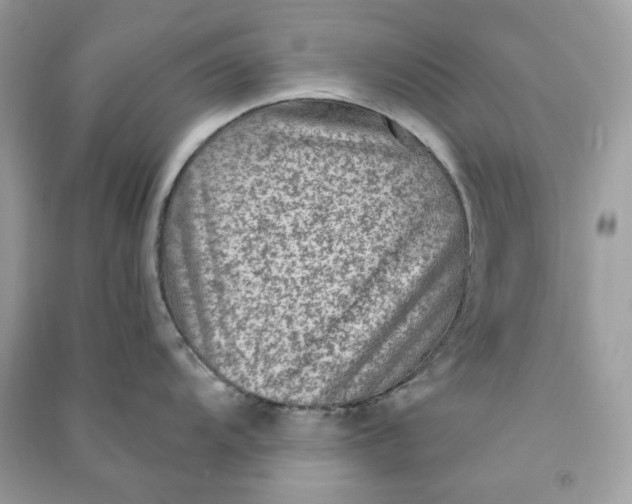 X0000090731104200708101634