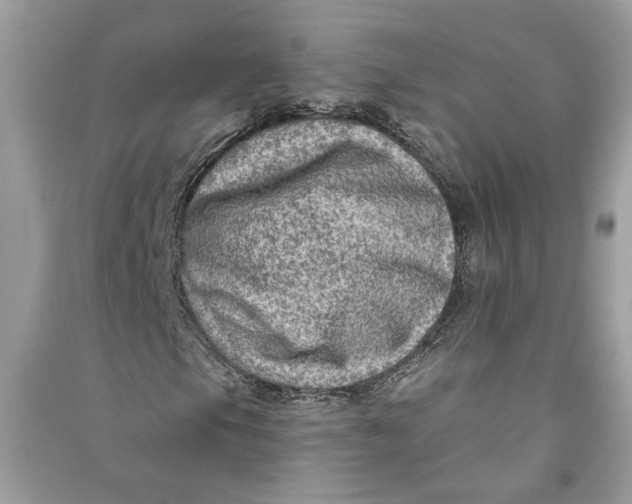 X0000090731105200708101633