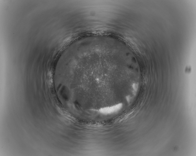 X0000090731106200708101633