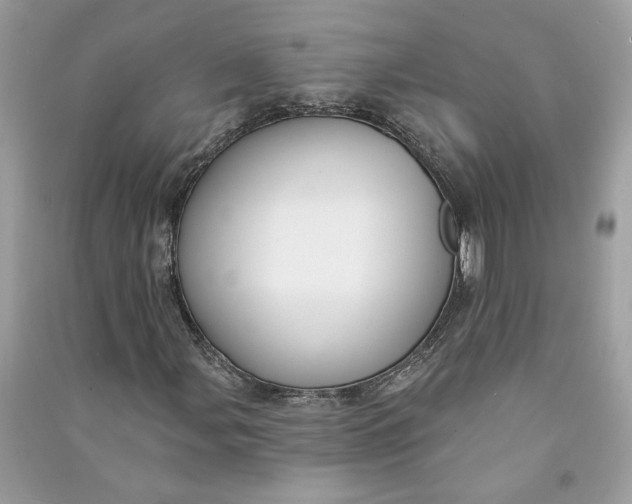 X0000090731107200708101633