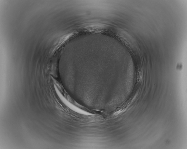 X0000090731108200708101633