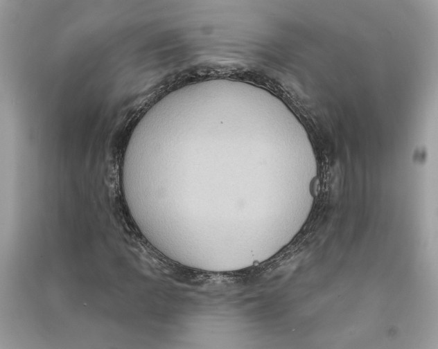 X0000090731109200708101633