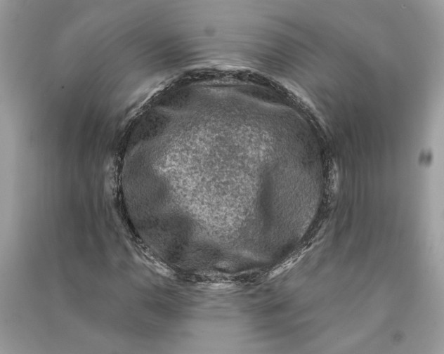 X0000090731110200708101633