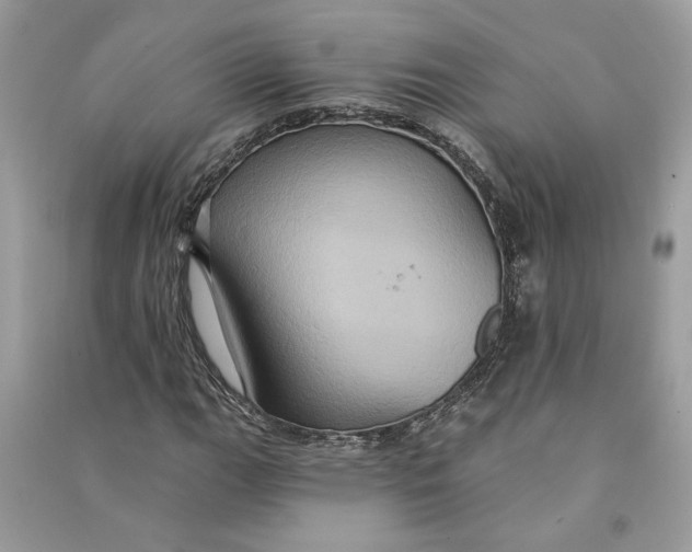 X0000090731111200708101633