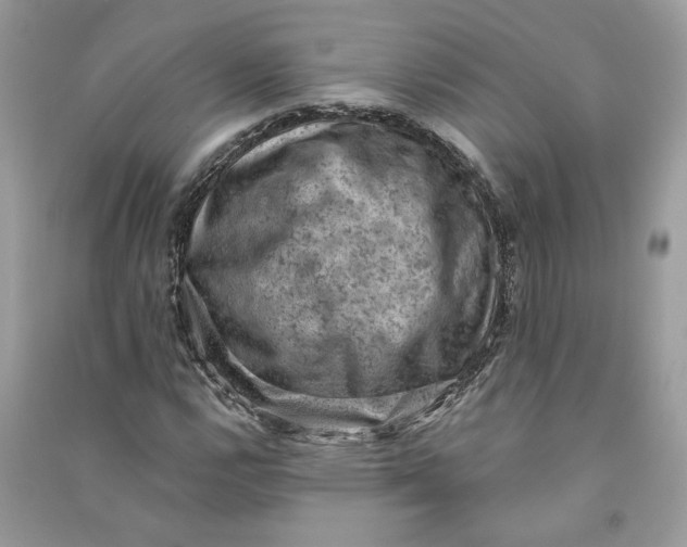 X0000090731112200708101633