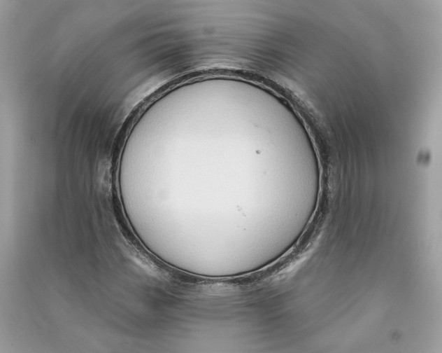 X0000090731113200708101633