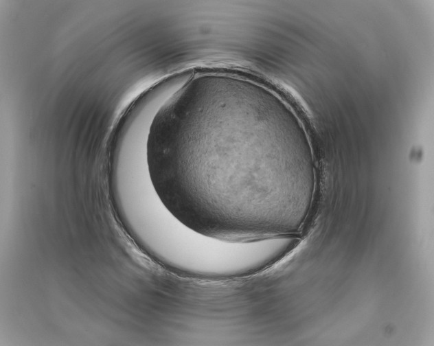 X0000090731114200708101633