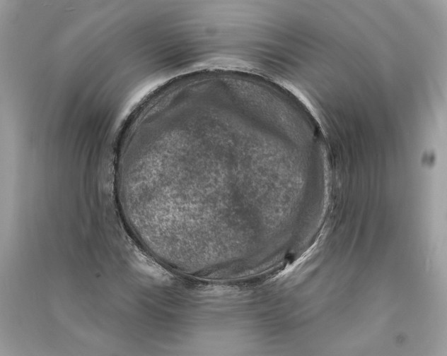 X0000090731115200708101633