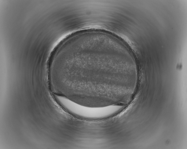 X0000090731118200708101633