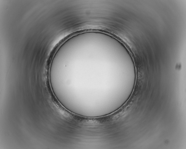 X0000090731119200708101633