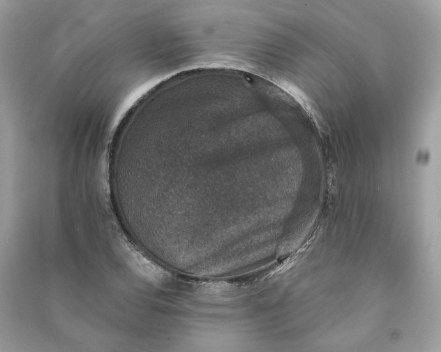 X0000090731120200708101633