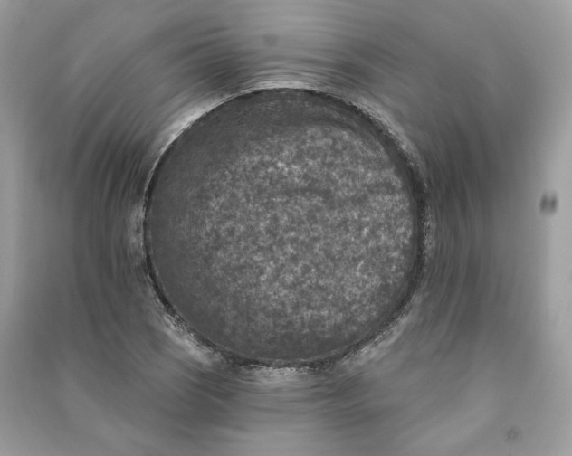 X0000090731121200708101633